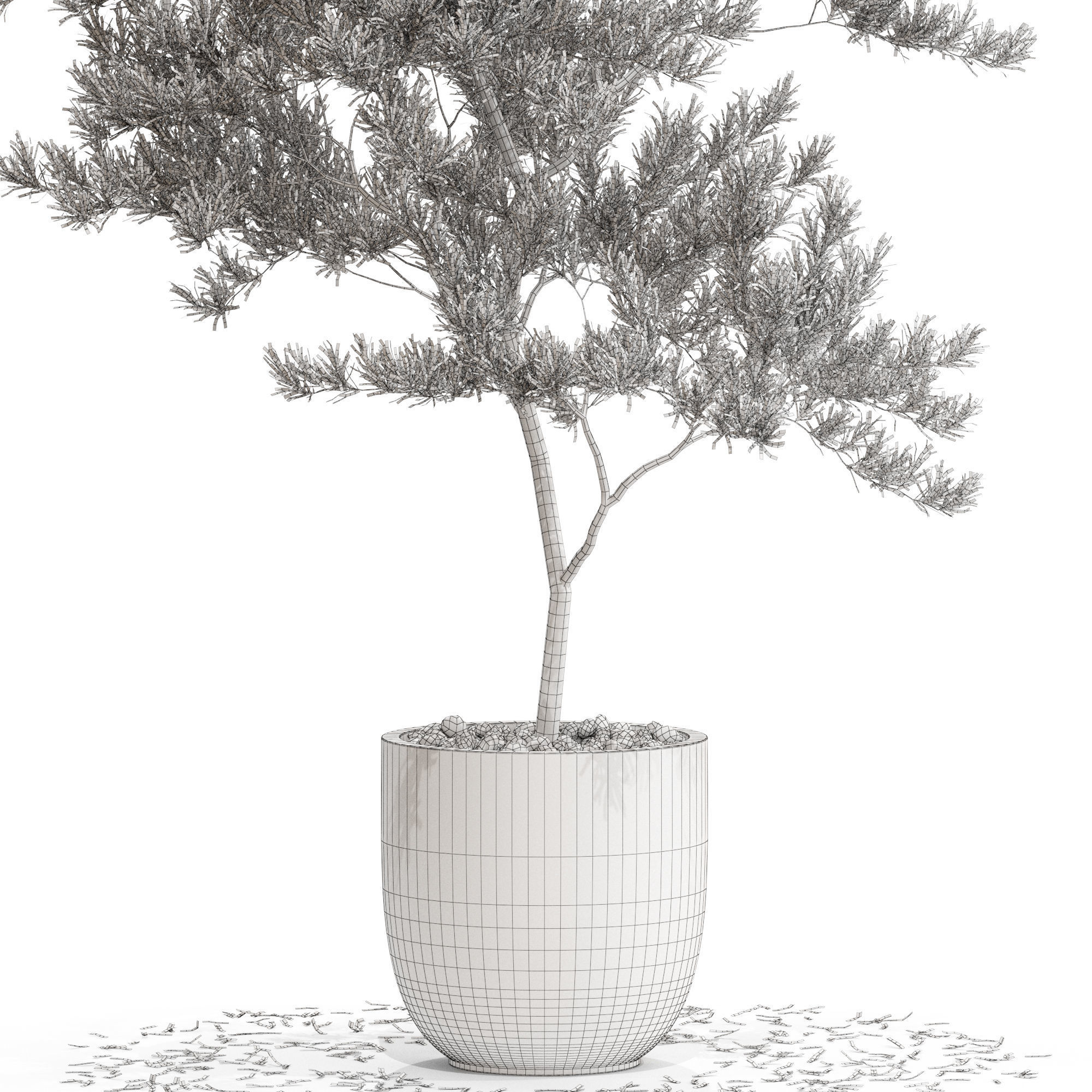Plants collection 672 3D model_4