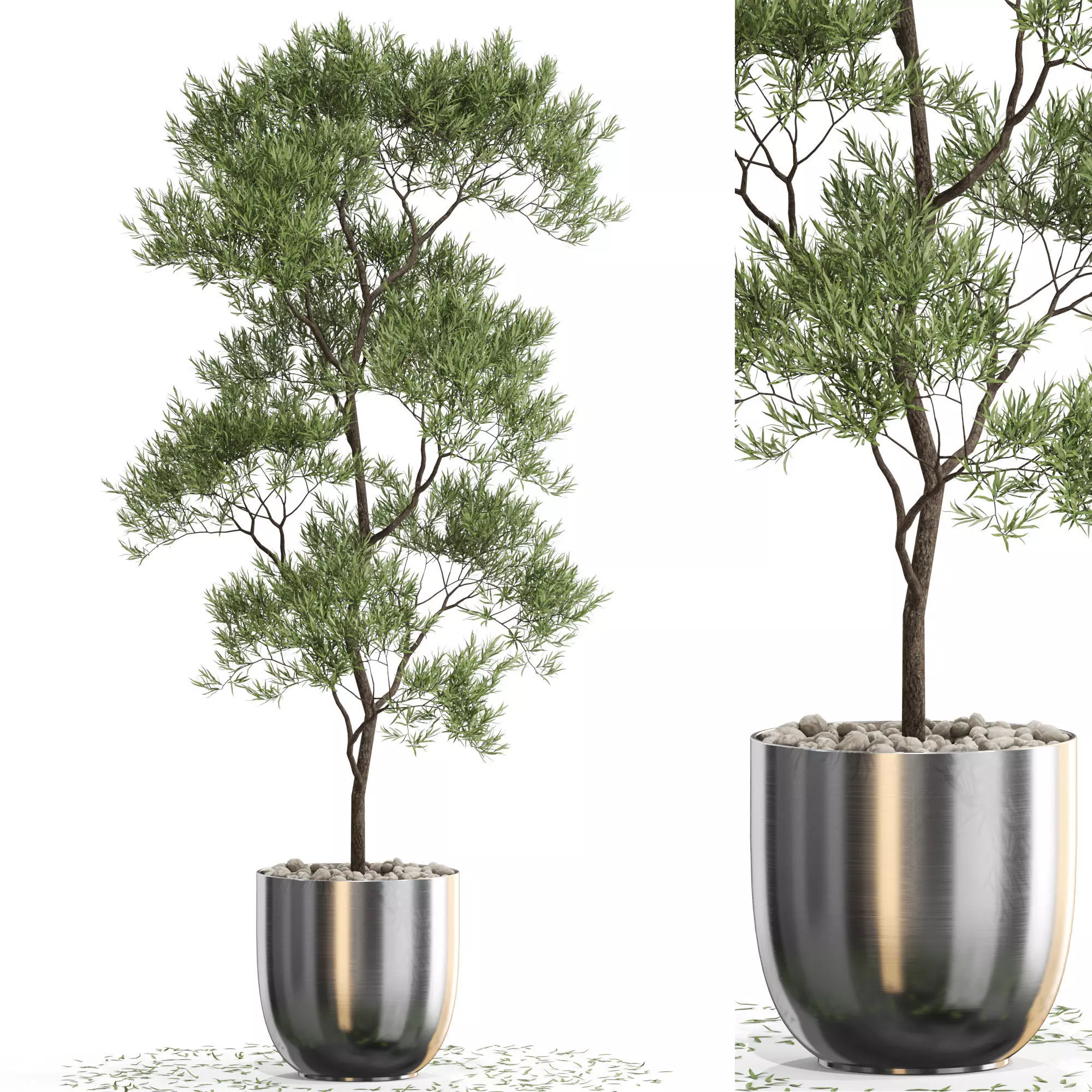 Plants collection 673 3D model_0