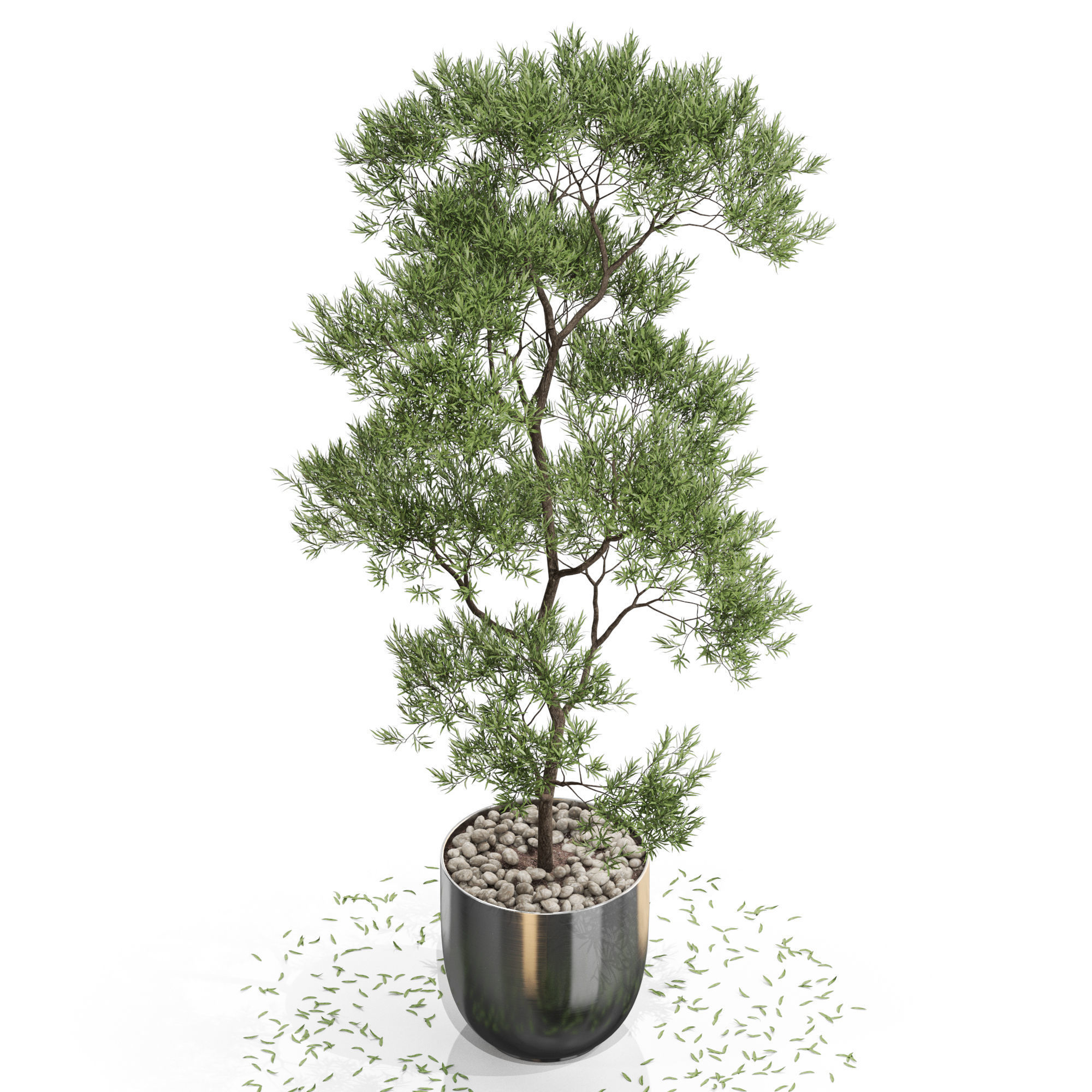 Plants collection 673 3D model_2