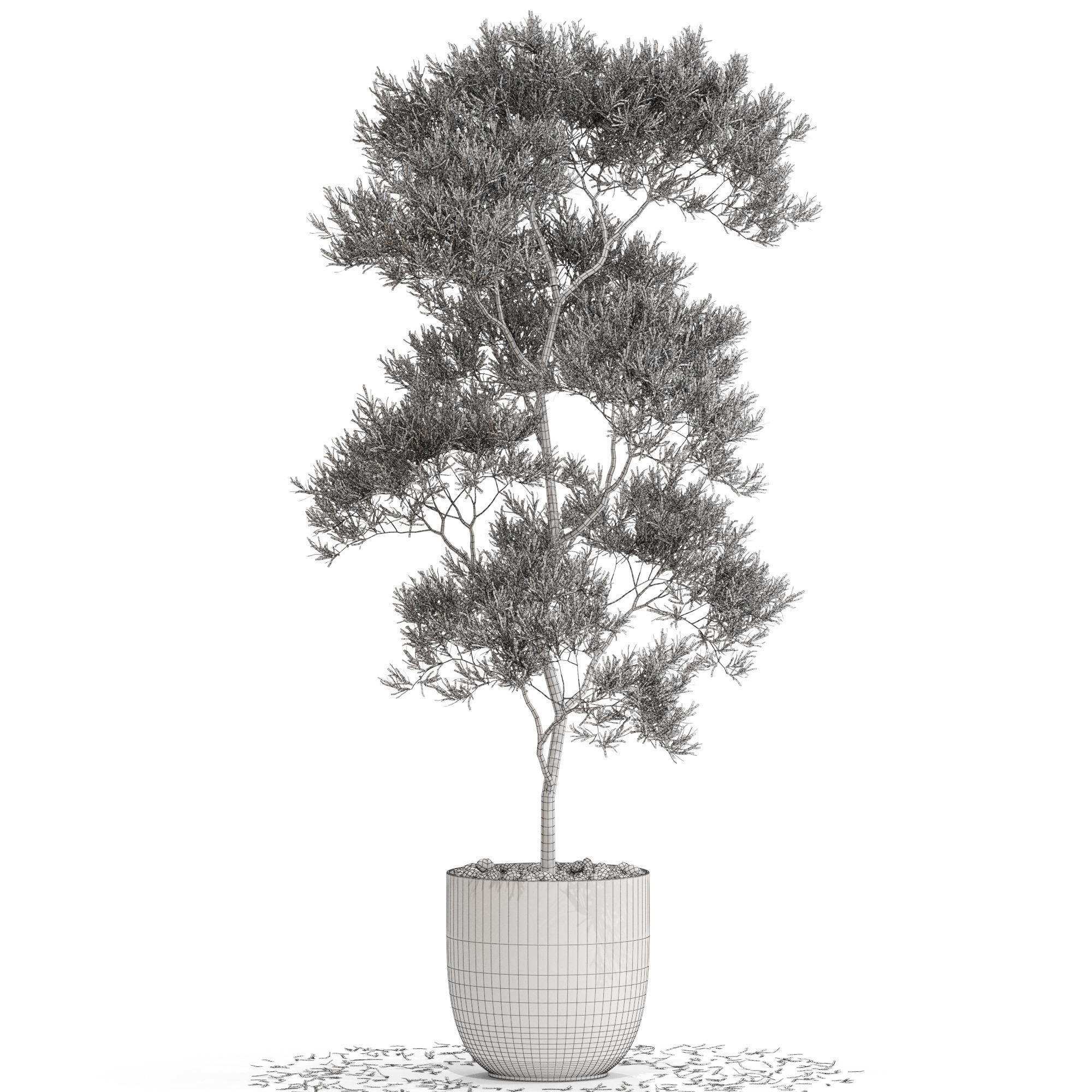 Plants collection 673 3D model_3