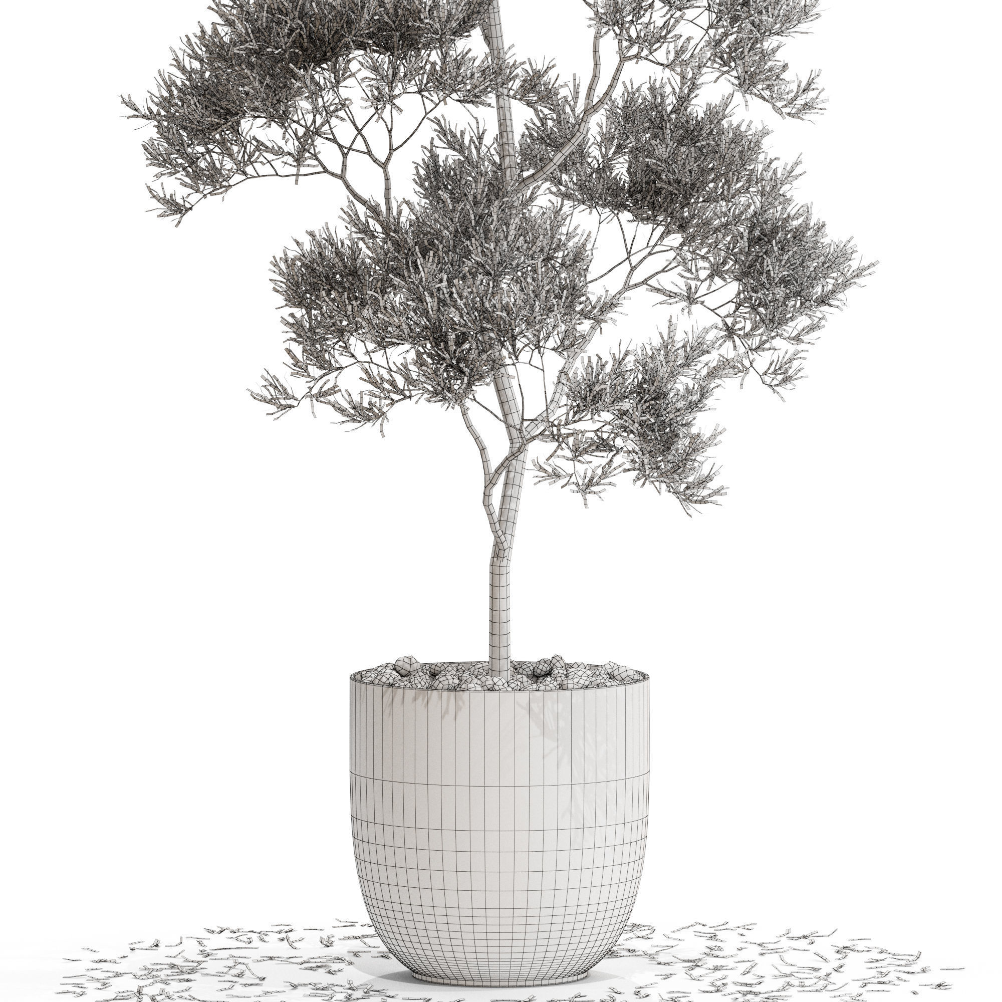 Plants collection 673 3D model_4