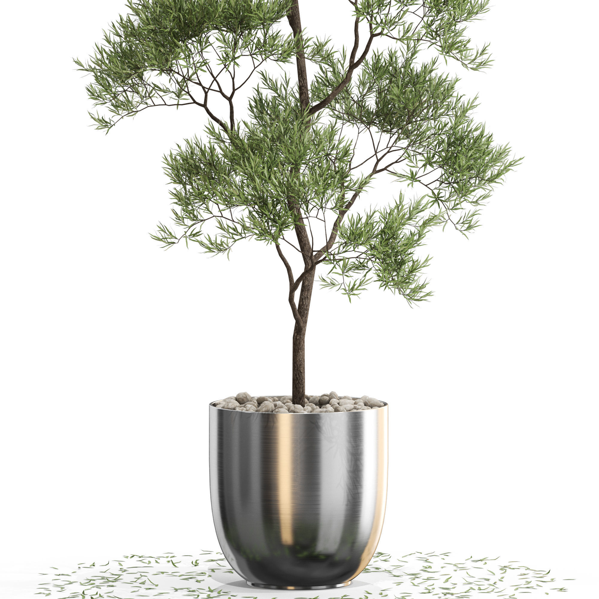 Plants collection 673 3D model_1