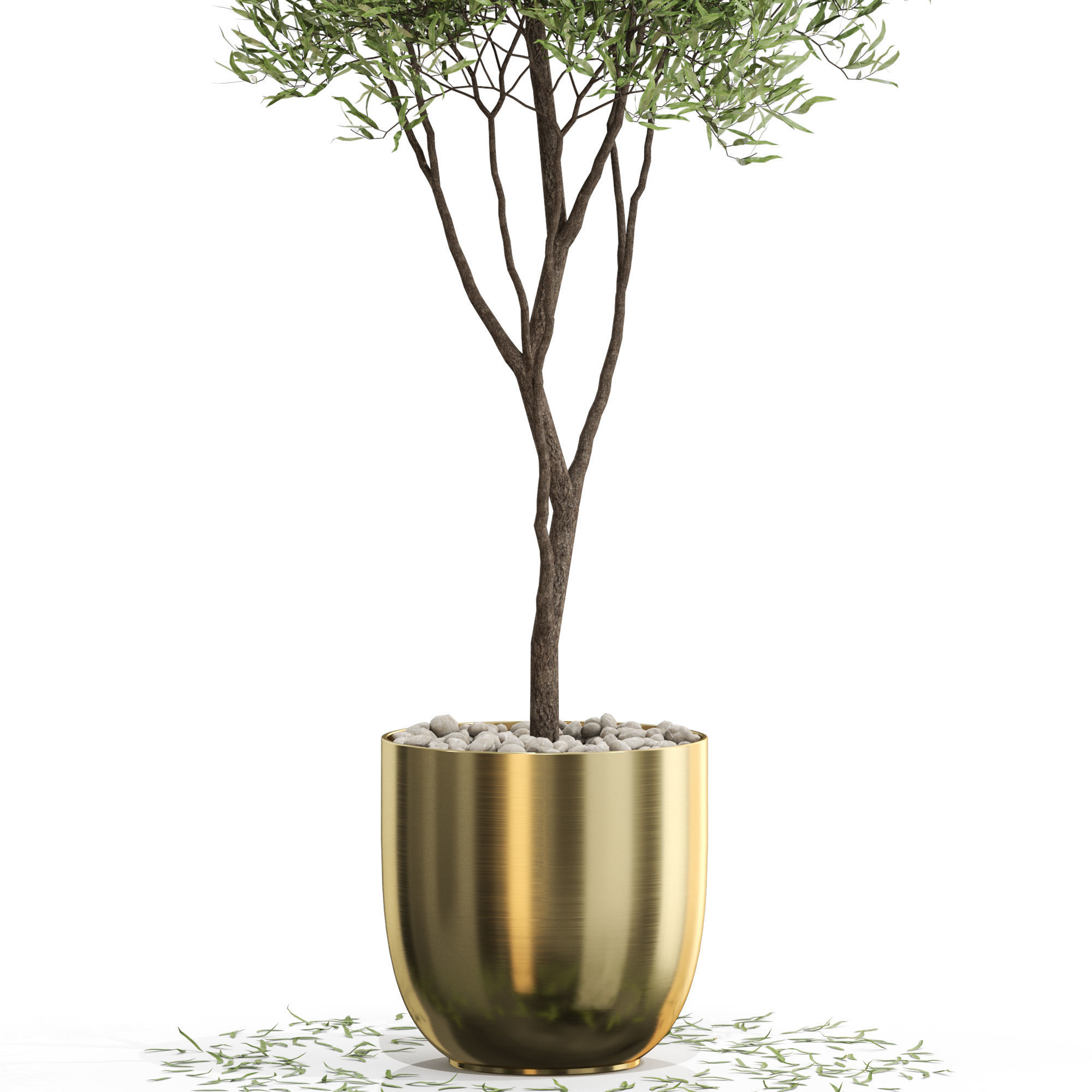 Plants collection 674 3D model_1