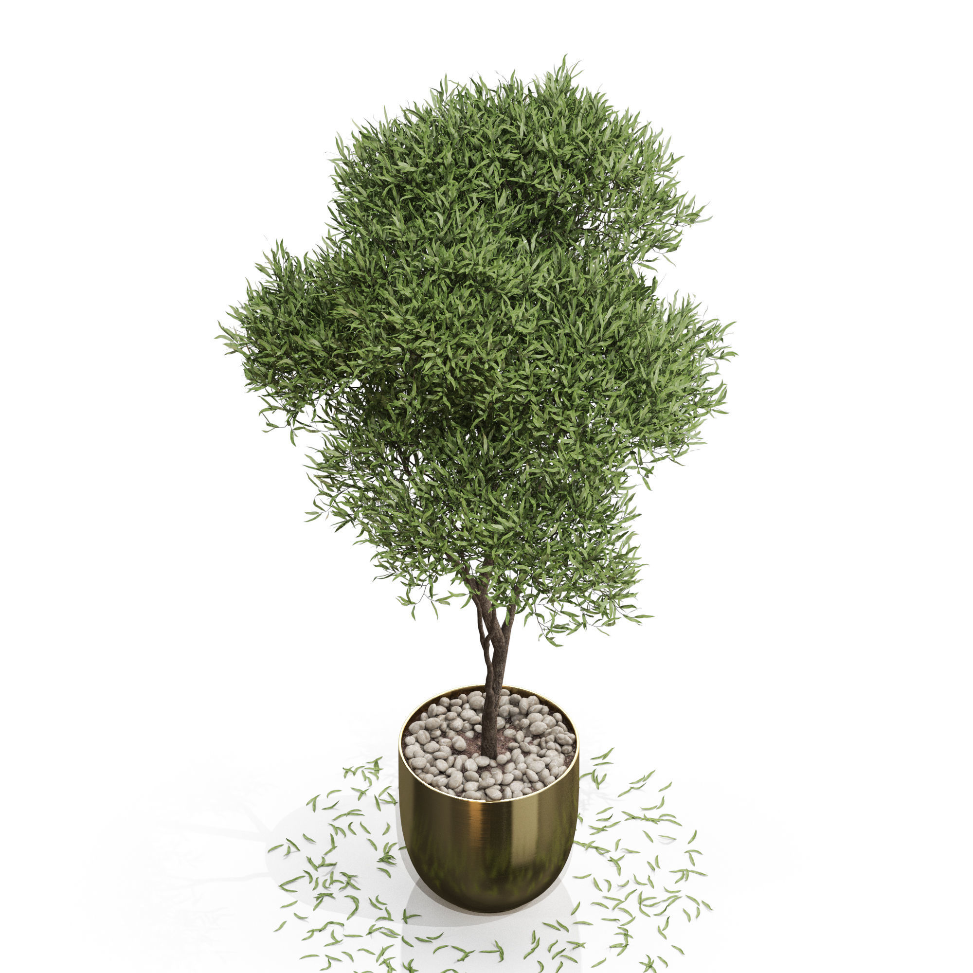 Plants collection 674 3D model_2
