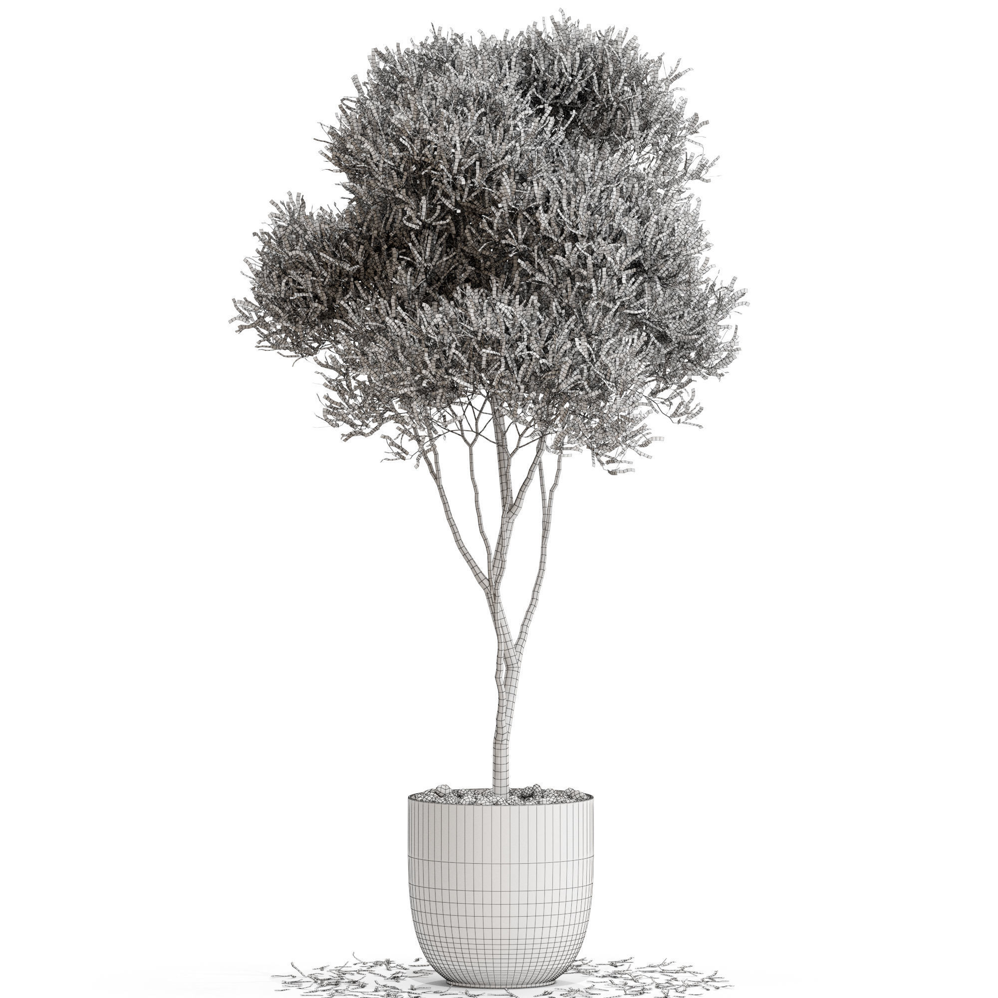 Plants collection 674 3D model_3
