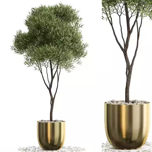 Plants collection 674 3D model