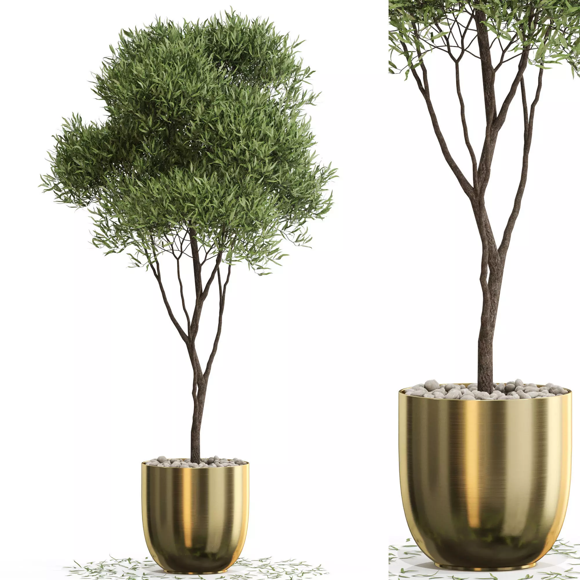 Plants collection 674 3D model_0