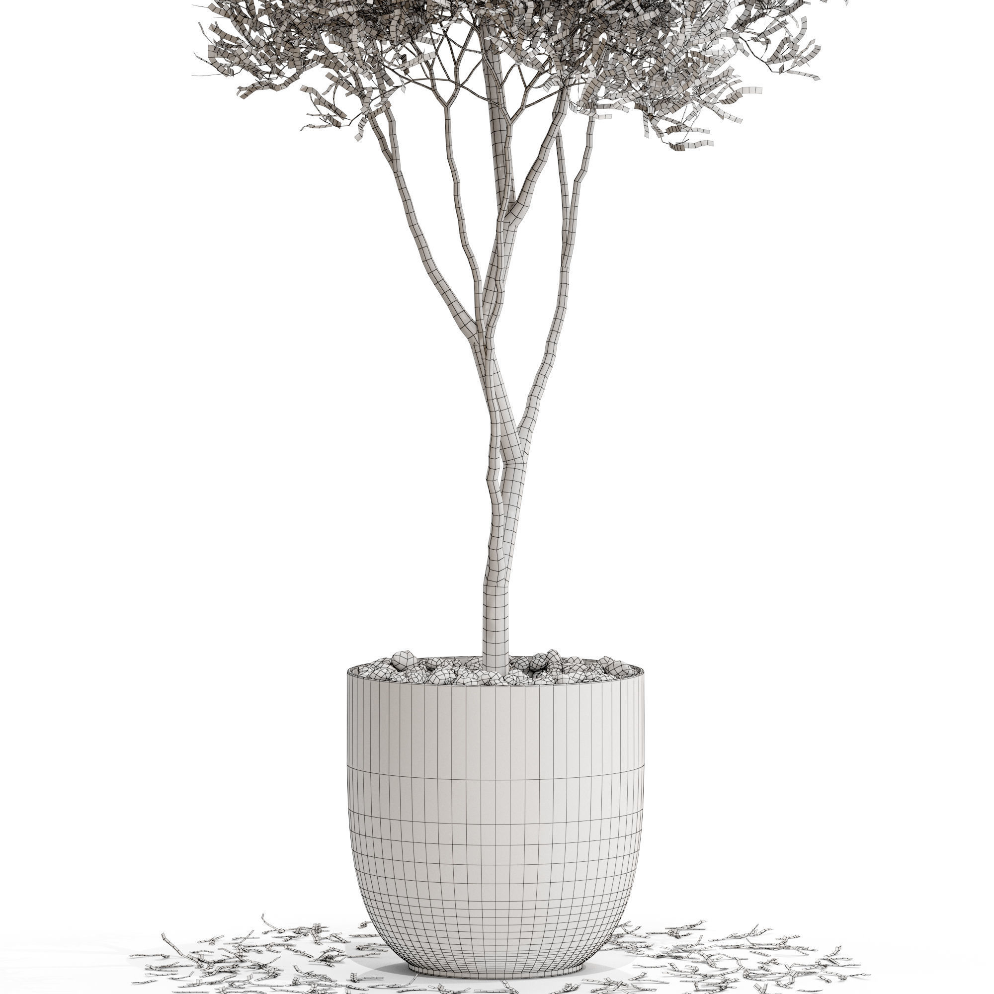Plants collection 674 3D model_4