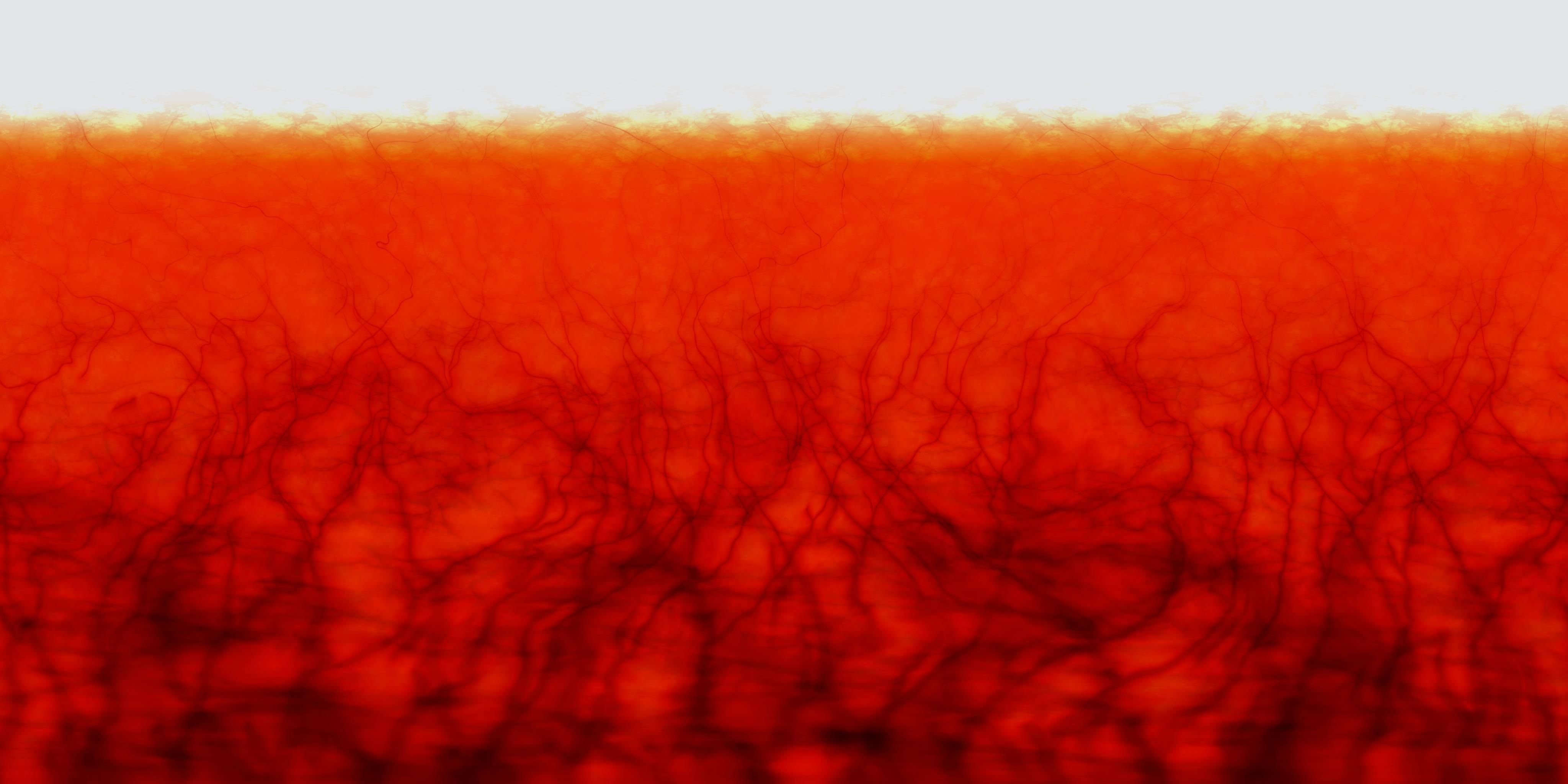 photo realistic human eyeball 3D model_6