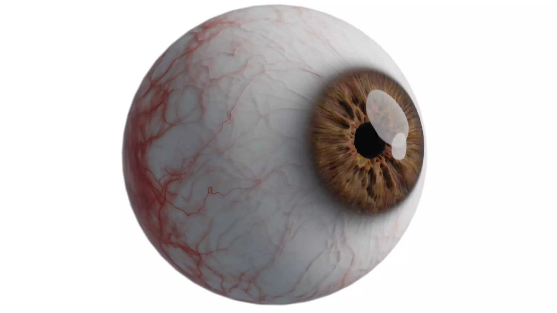 photo realistic human eyeball 3D model_0