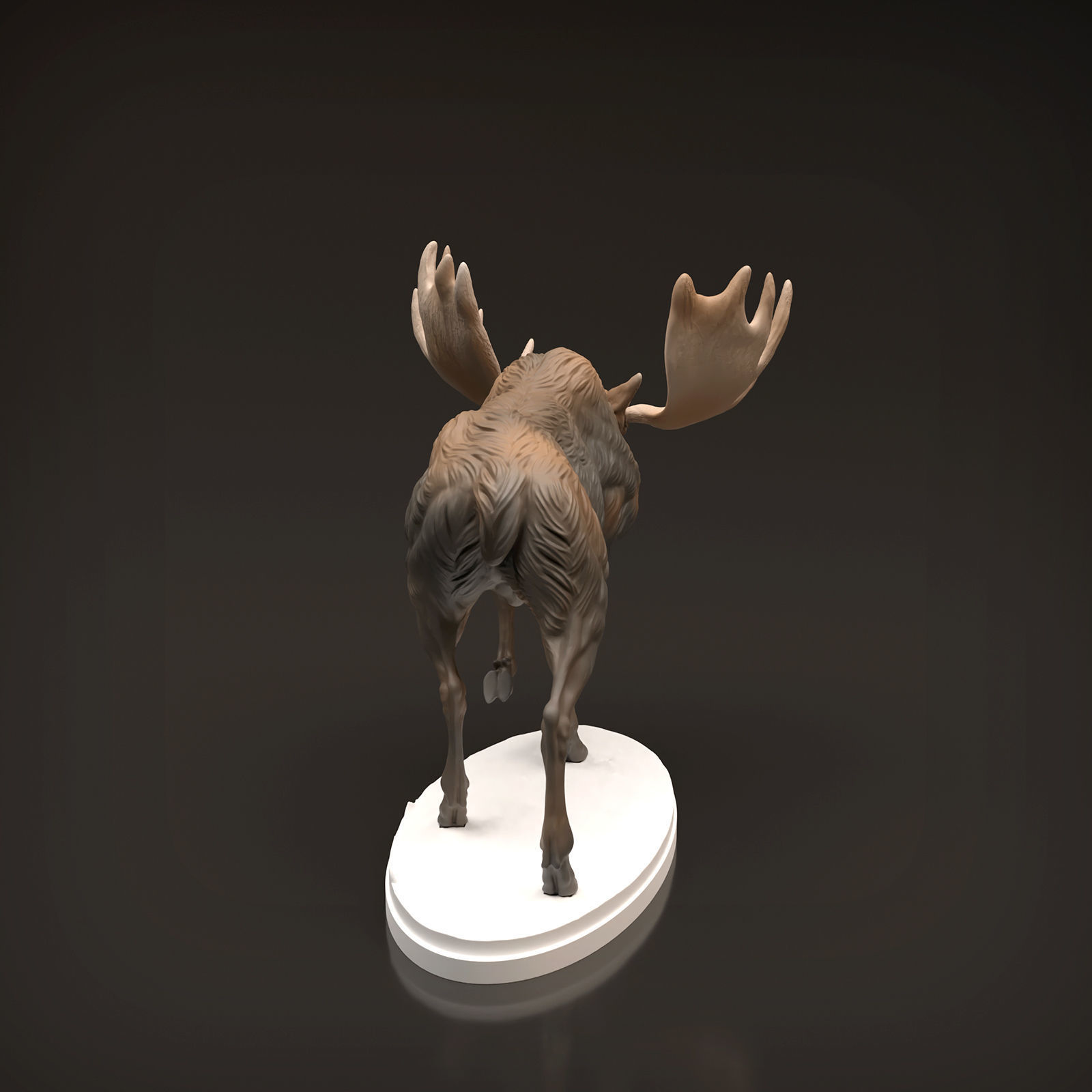 Bull Moose for 3D Printing 3D print model_5