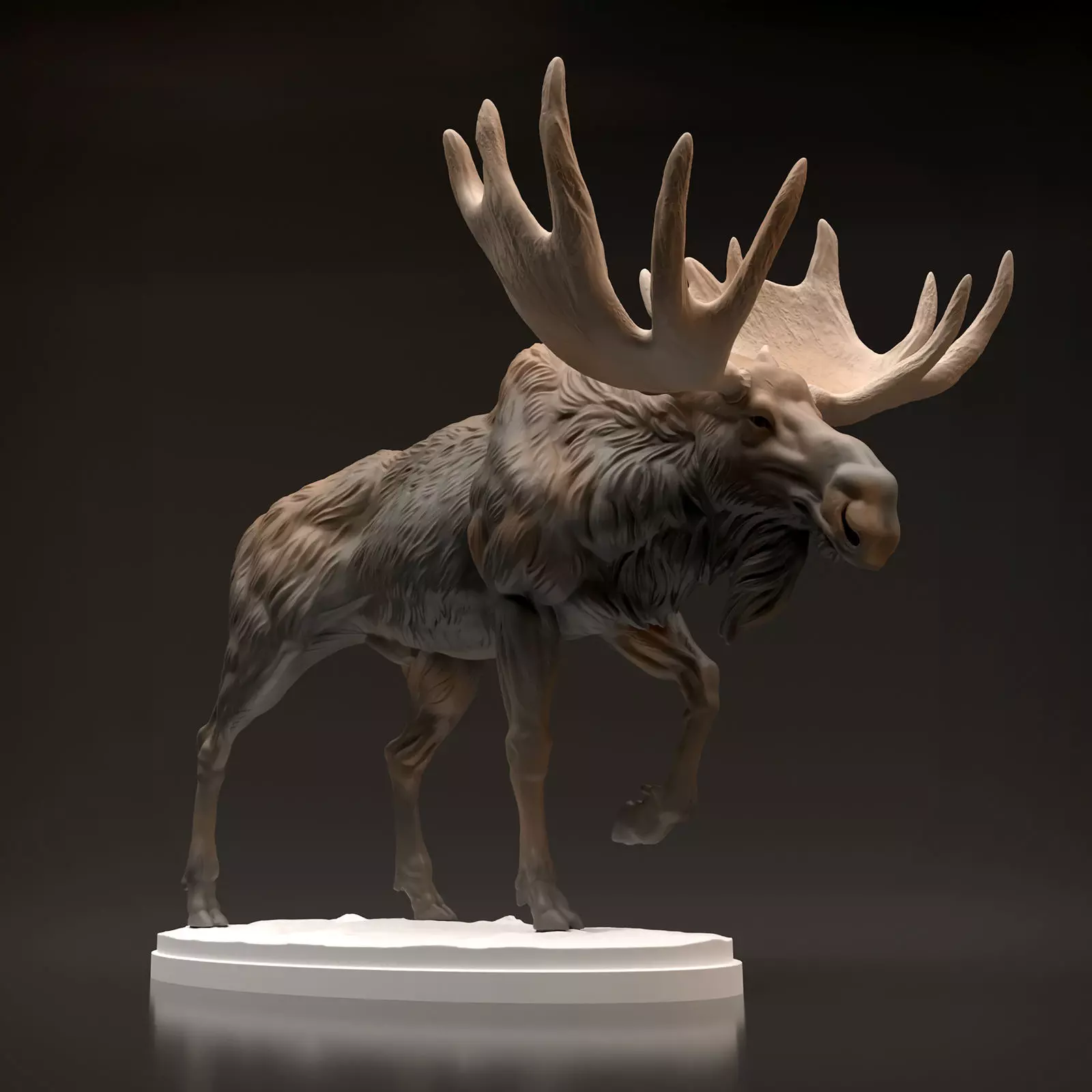 Bull Moose for 3D Printing 3D print model_0