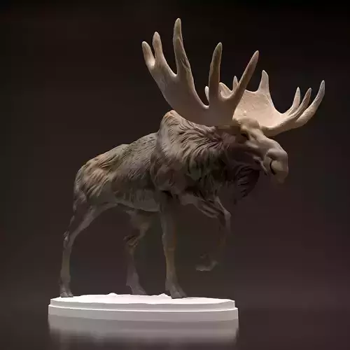 Bull Moose for 3D Printing 3D print model Bull Moose for 3D Printing 3D print model