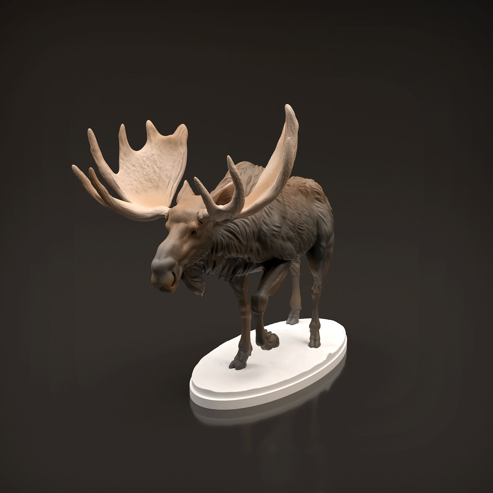 Bull Moose for 3D Printing 3D print model_1
