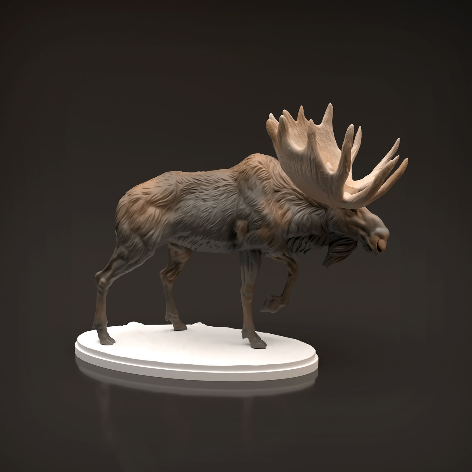 Bull Moose for 3D Printing 3D print model_3