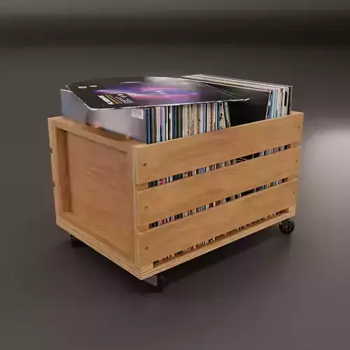 Vinyl Storage No33