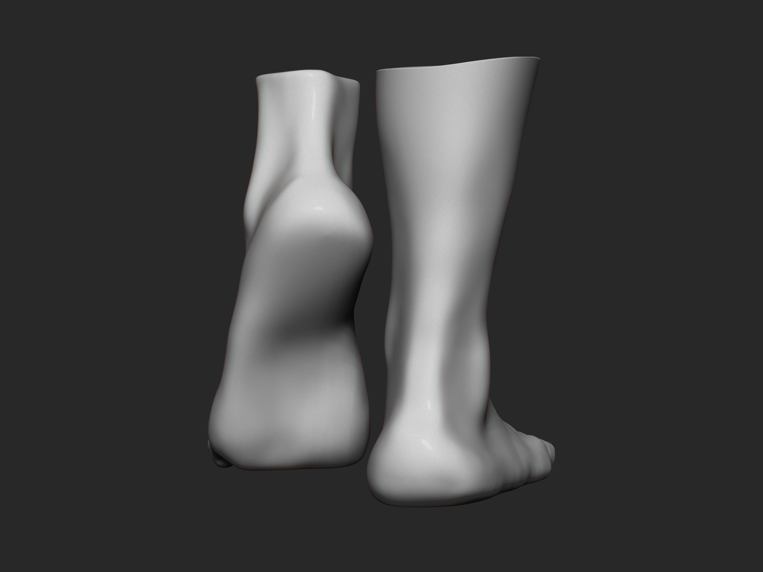 high poly model of feet 3D print model_7