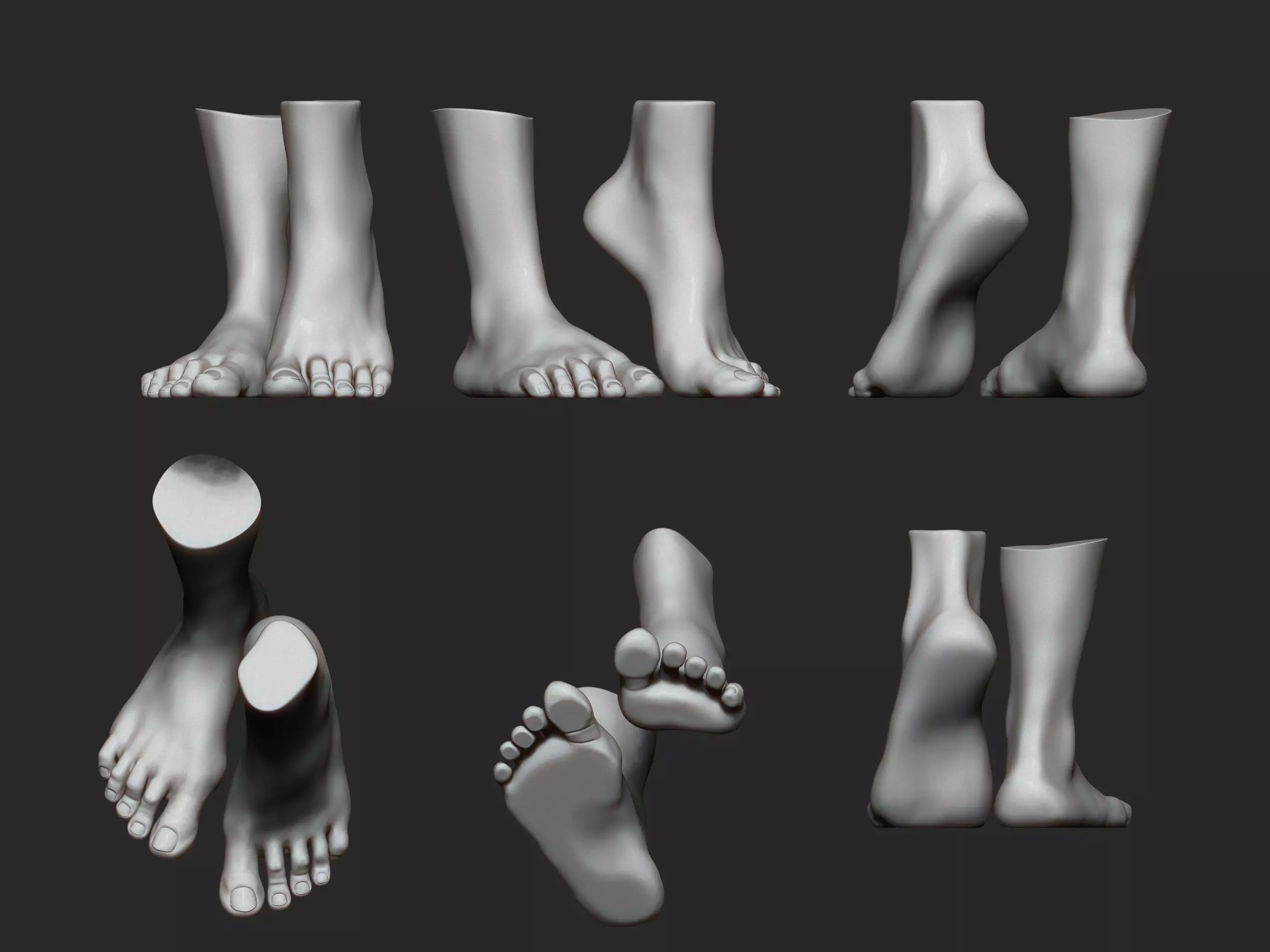 high poly model of feet 3D print model_0