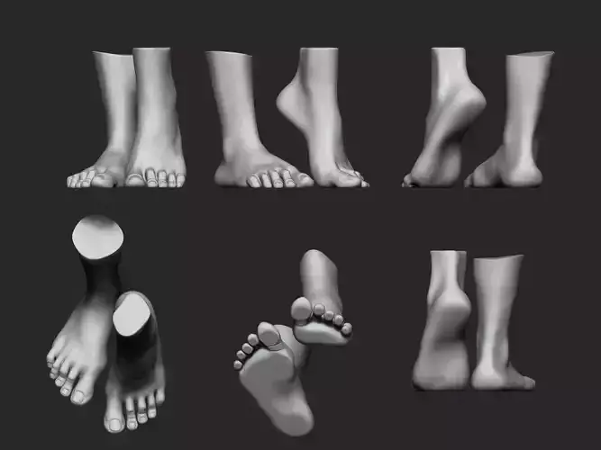high poly model of feet 3D print model