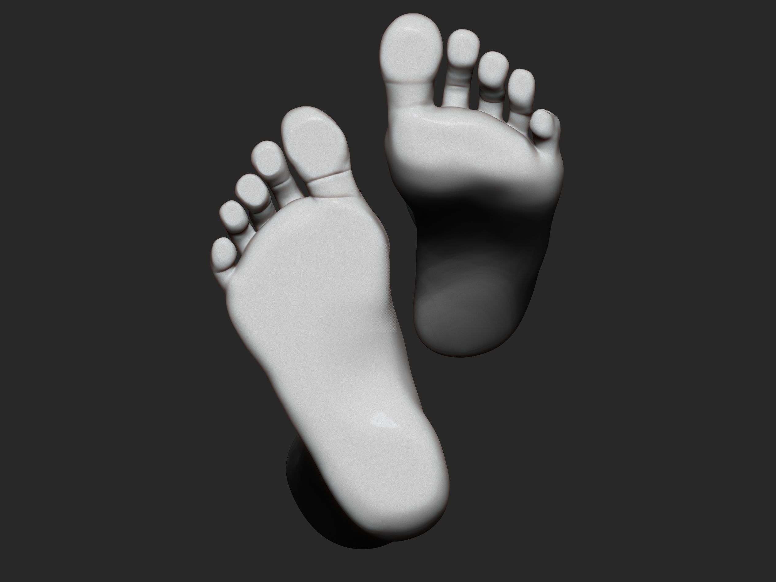 high poly model of feet 3D print model_6