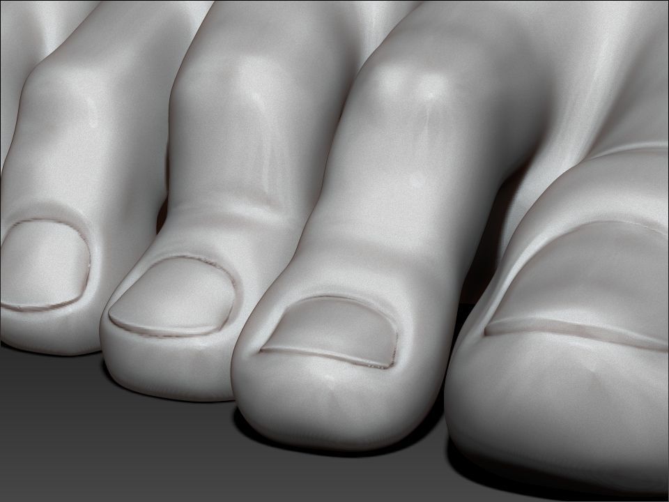 high poly model of feet 3D print model_9