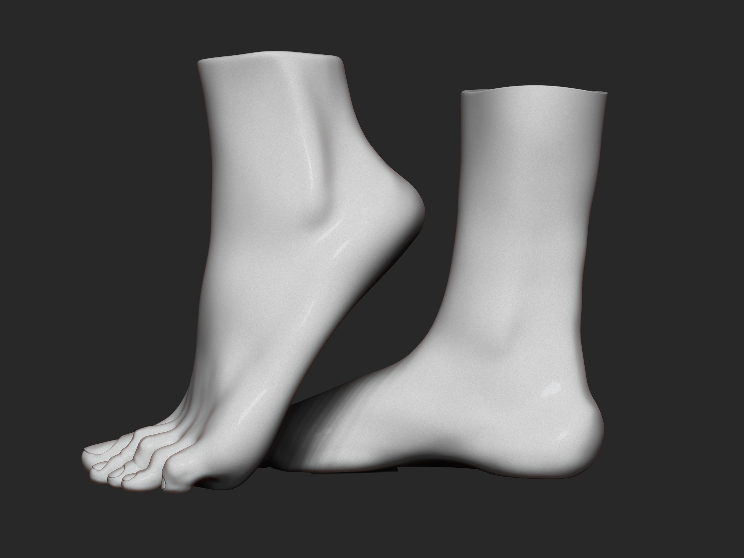 high poly model of feet 3D print model_8