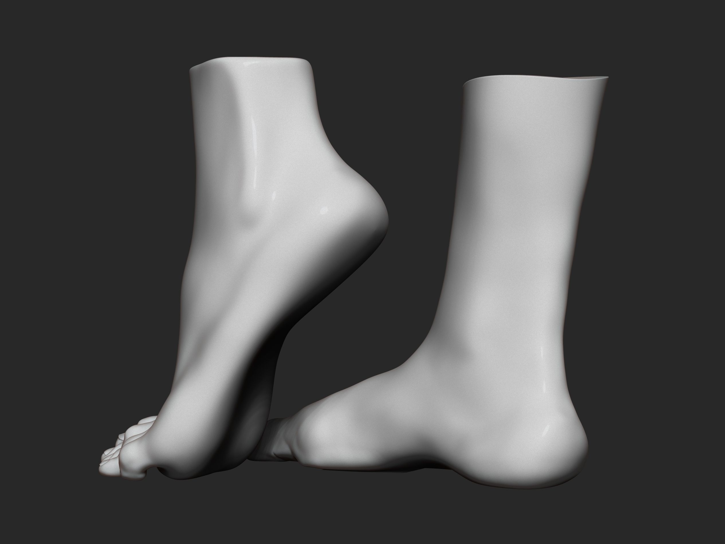 high poly model of feet 3D print model_4