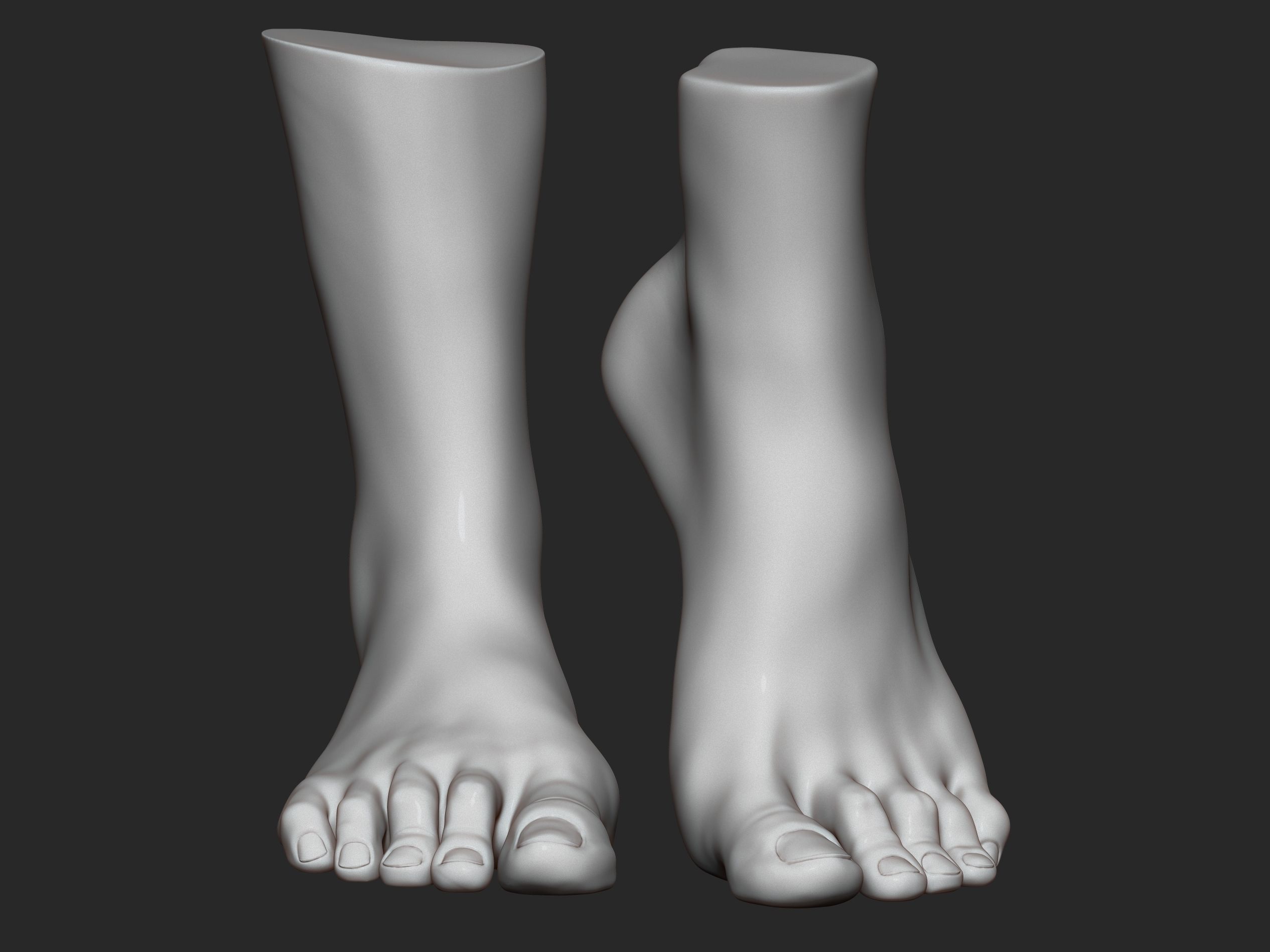 high poly model of feet 3D print model_5