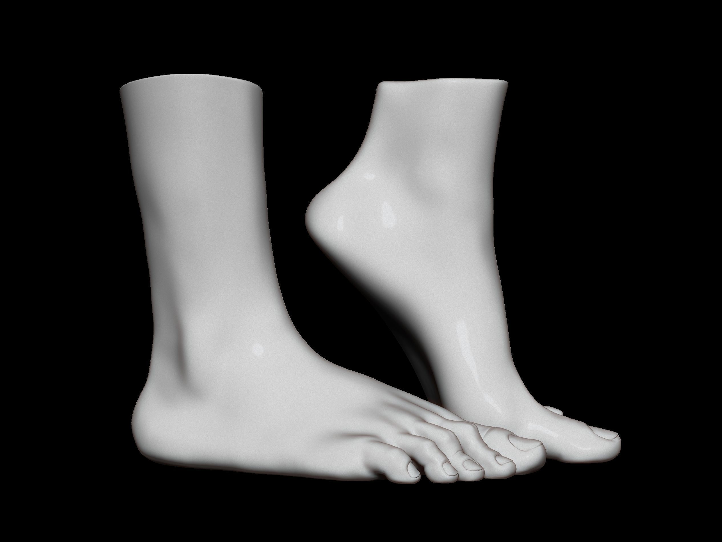 high poly model of feet 3D print model_3