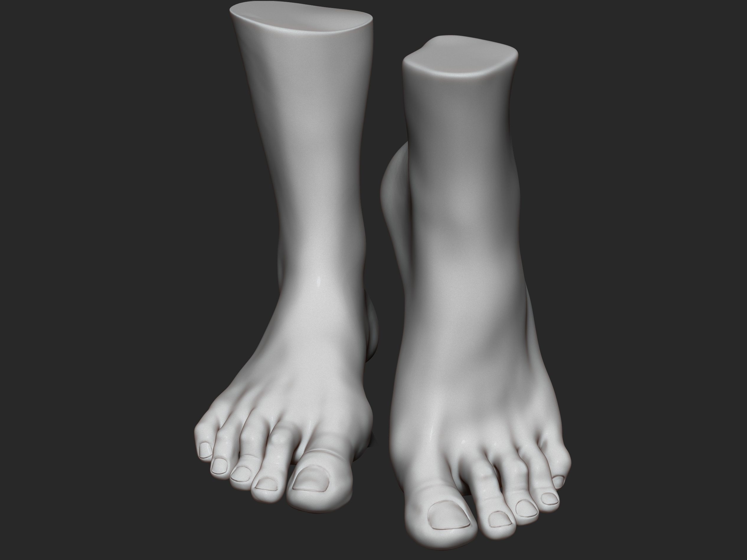 high poly model of feet 3D print model_2