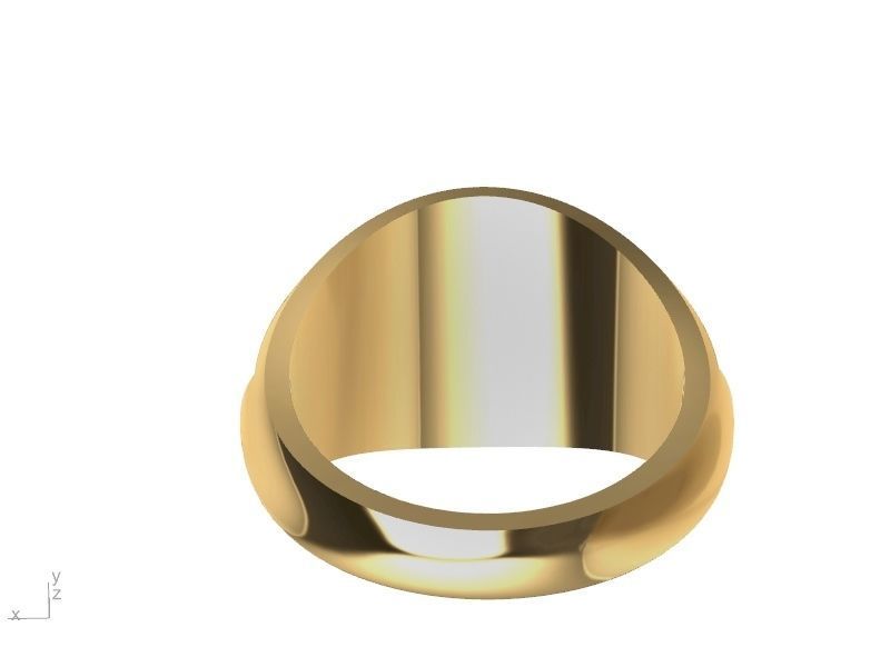 half jali ring stl verified  3D print model_6