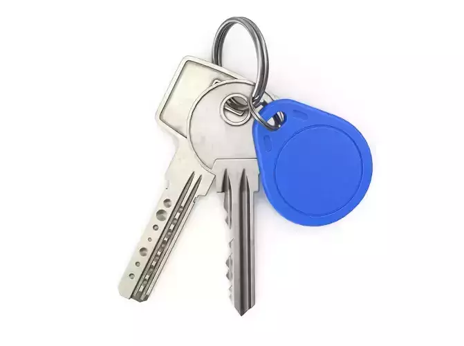 Bunch of keys with Rfid trinket 3D model