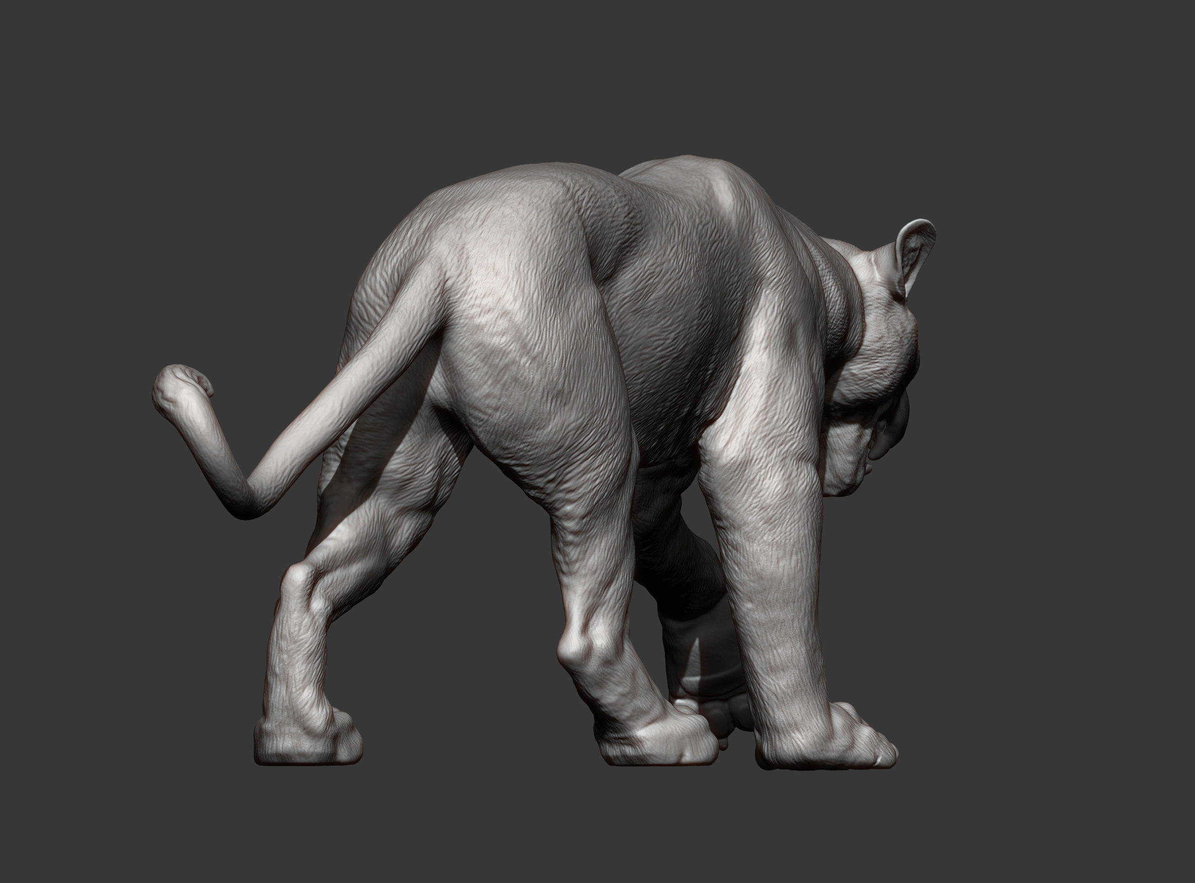 panther 3D print model_8