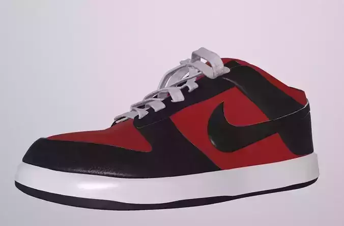 NIKE SB DUNK SHOES PBR