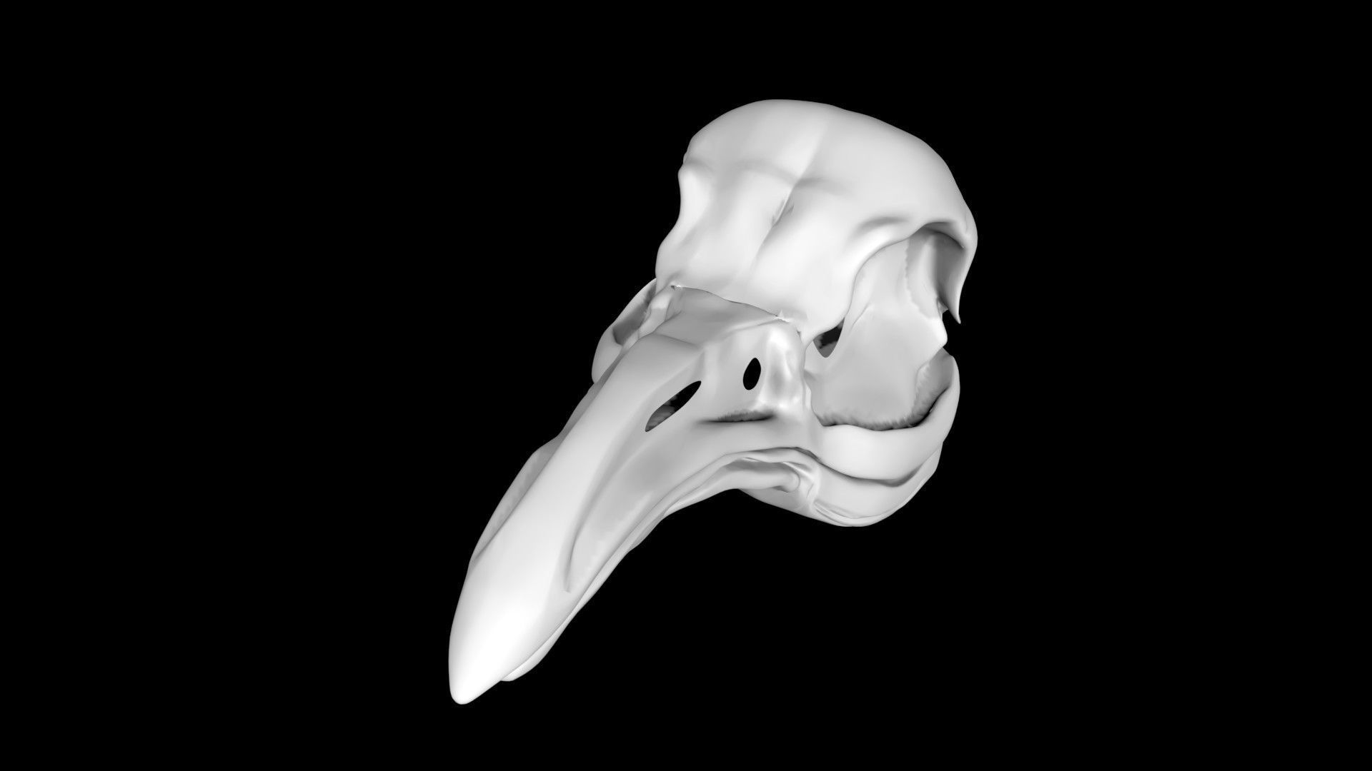 Penguin skull Low-poly 3D model_4