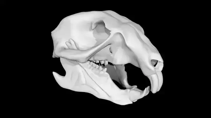 Squirrel skull