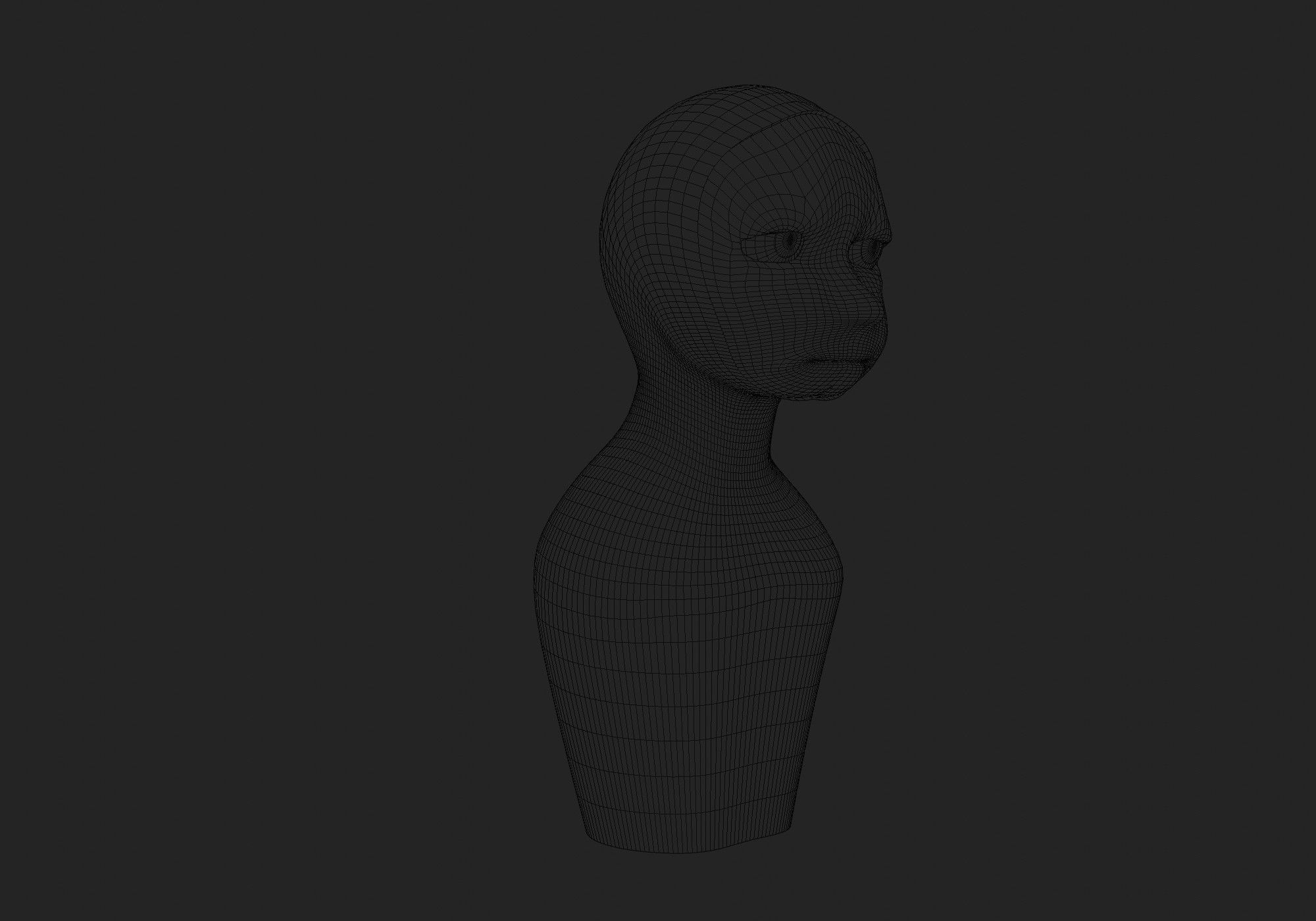 male mummy 3D model_16