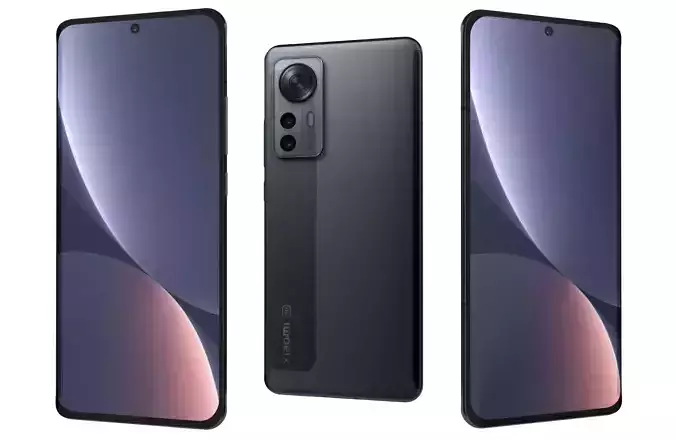 Xiaomi 12 Pro Gray
