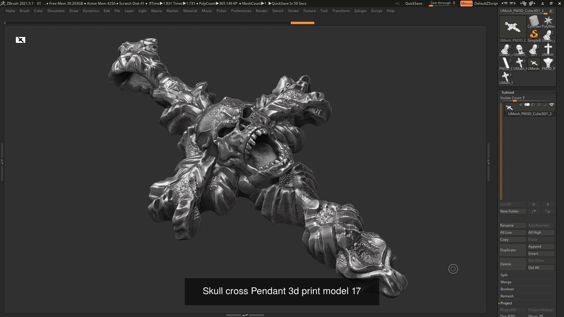 16 Skull Pendant 3d print model 3D Model Collection_13
