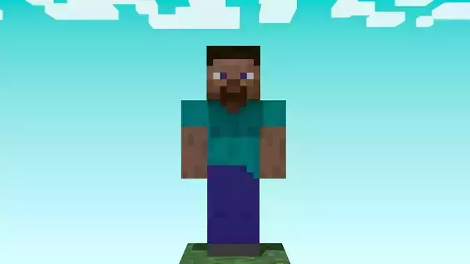 Minecraft character Rigged 3d Model