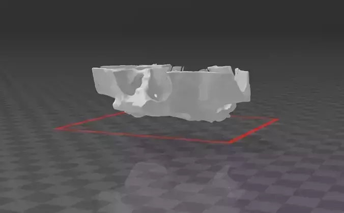 maxilla piece of ice