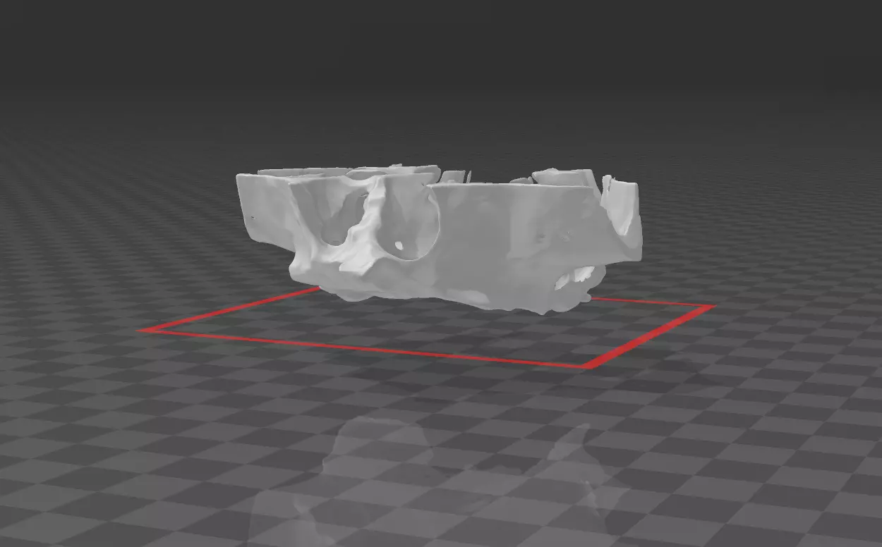 maxilla piece of ice Free 3D model_0