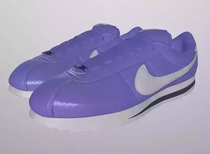 NIKE CORTEZ SHOES PBR