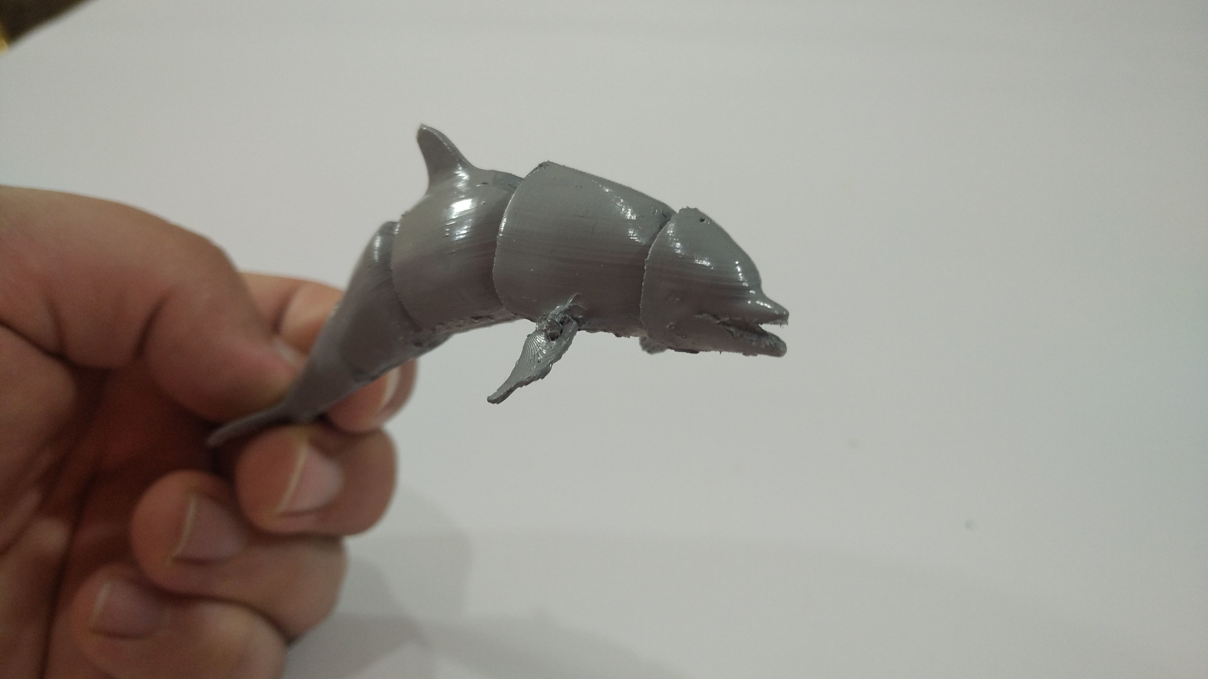 Articulated Dolphin 3D print model_1