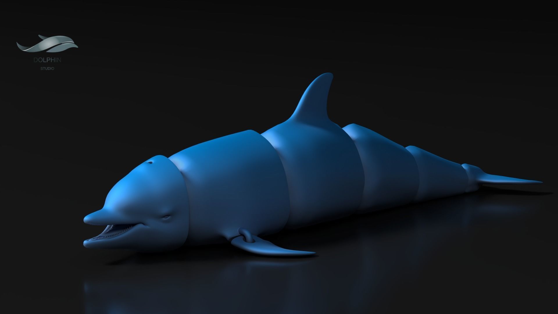 Articulated Dolphin 3D print model_2