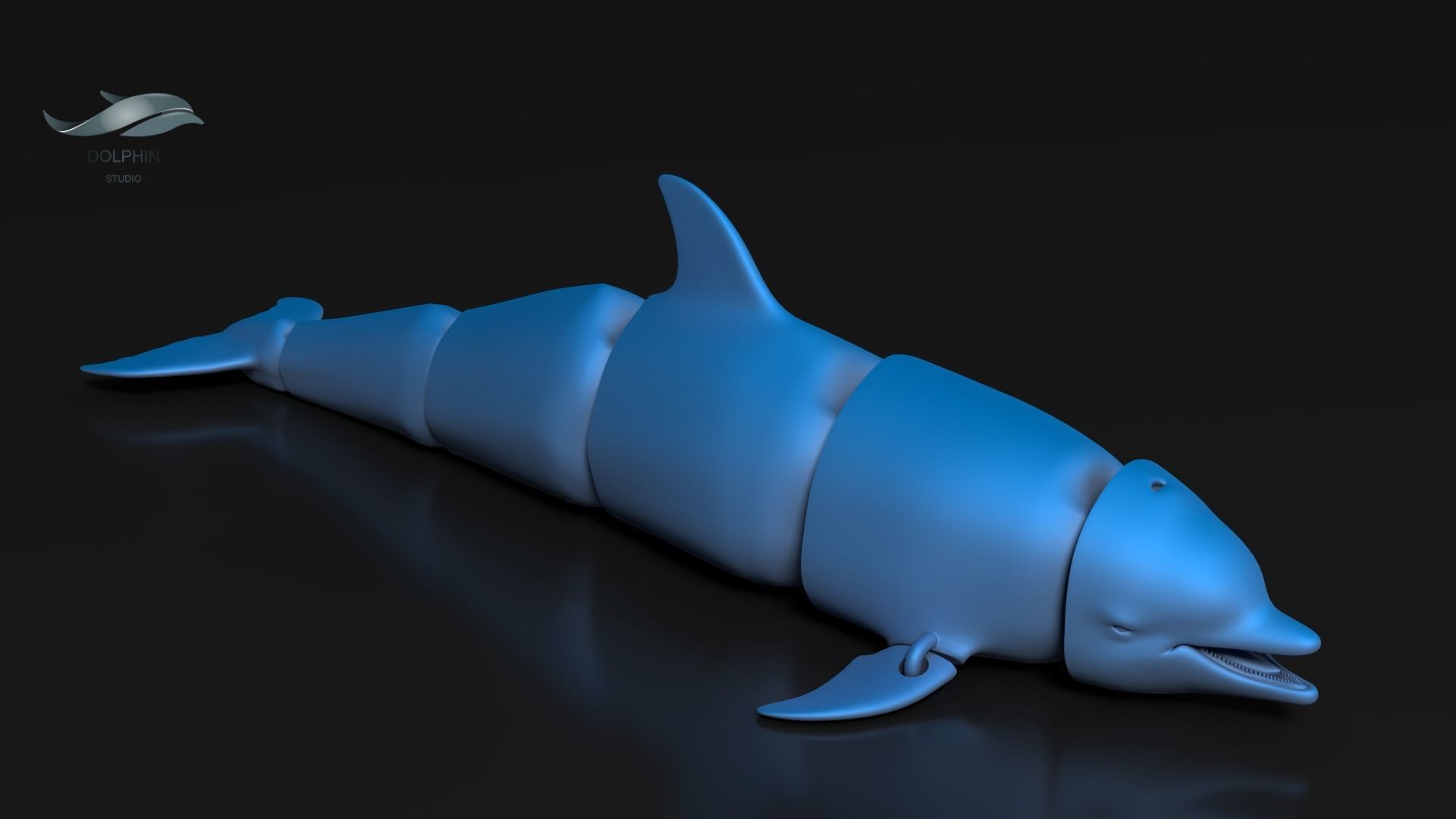 Articulated Dolphin 3D print model_5
