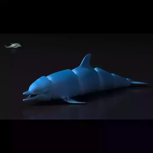Articulated Dolphin 3D print model