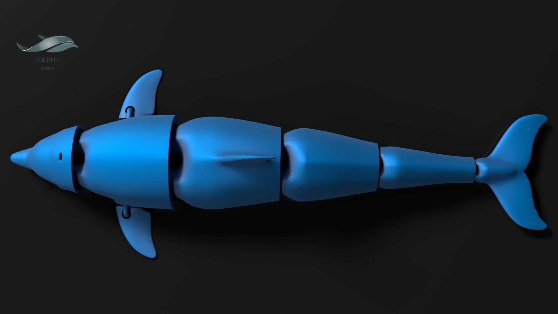 Articulated Dolphin 3D print model_4