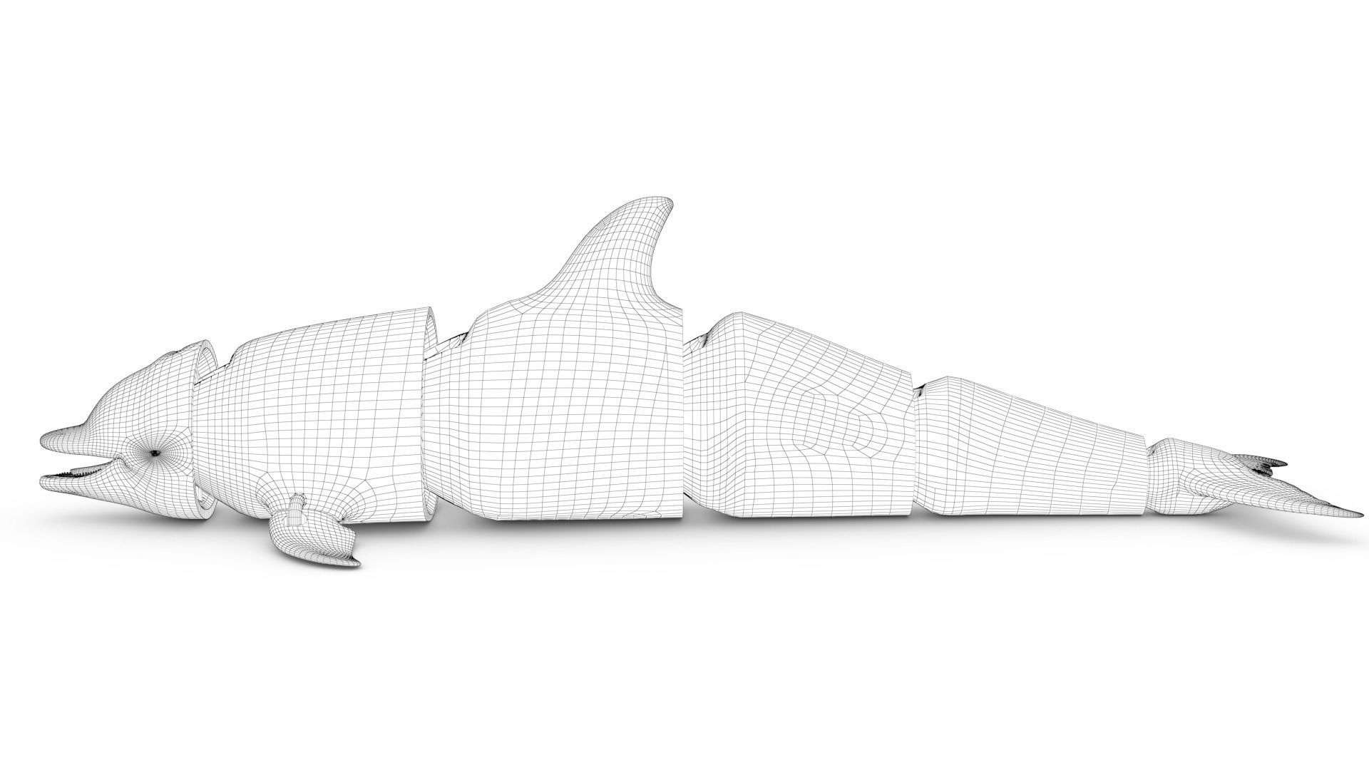 Articulated Dolphin 3D print model_8