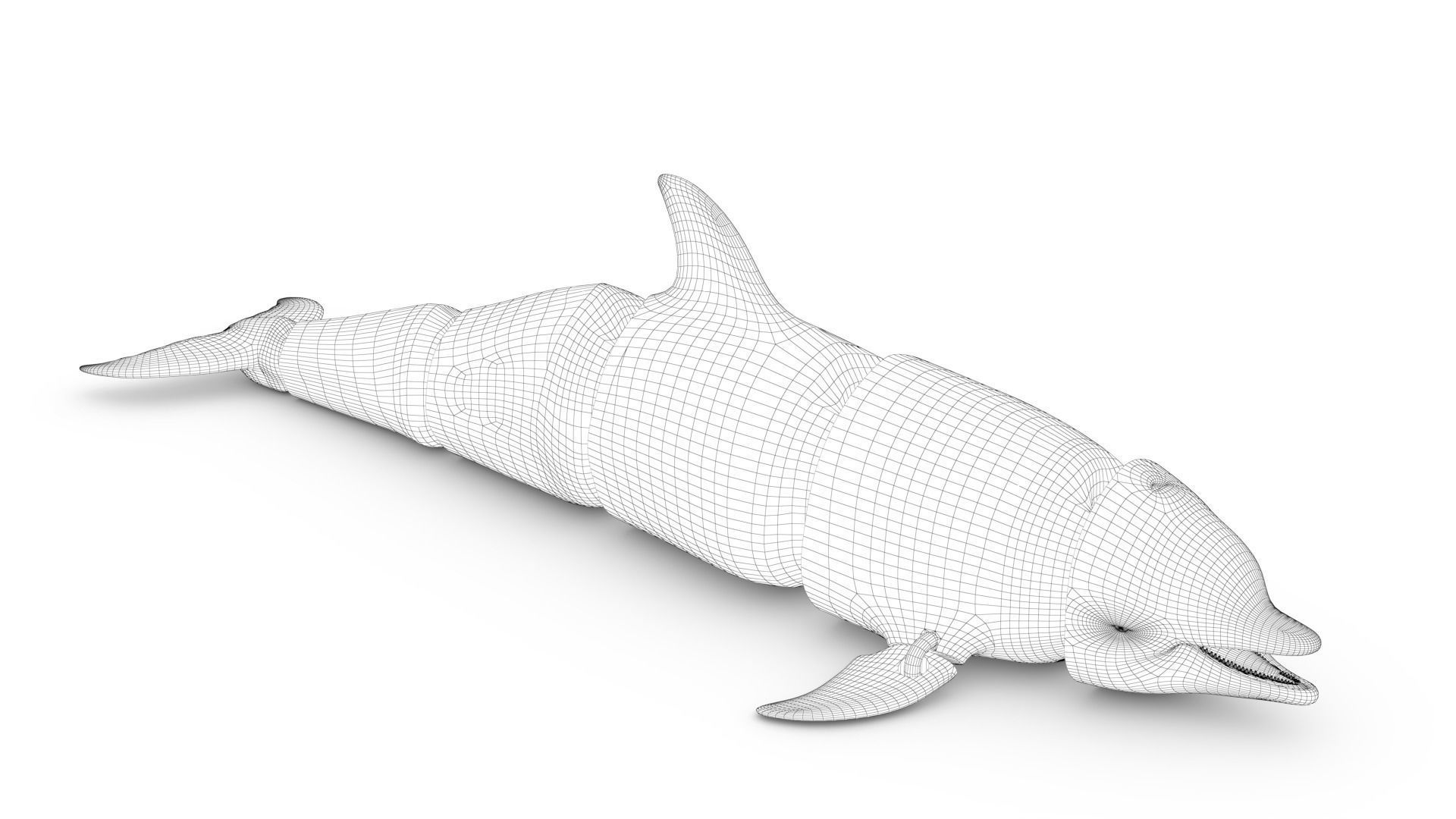 Articulated Dolphin 3D print model_10